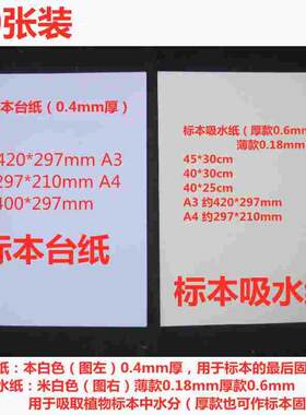 20张标本纸植物标本夹学生用树叶夹加厚吸水纸标本台纸A3A4 45*30