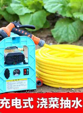 德国进口双核水泵12v锂电池抽水机农田灌溉淋菜神器户外浇菜自吸