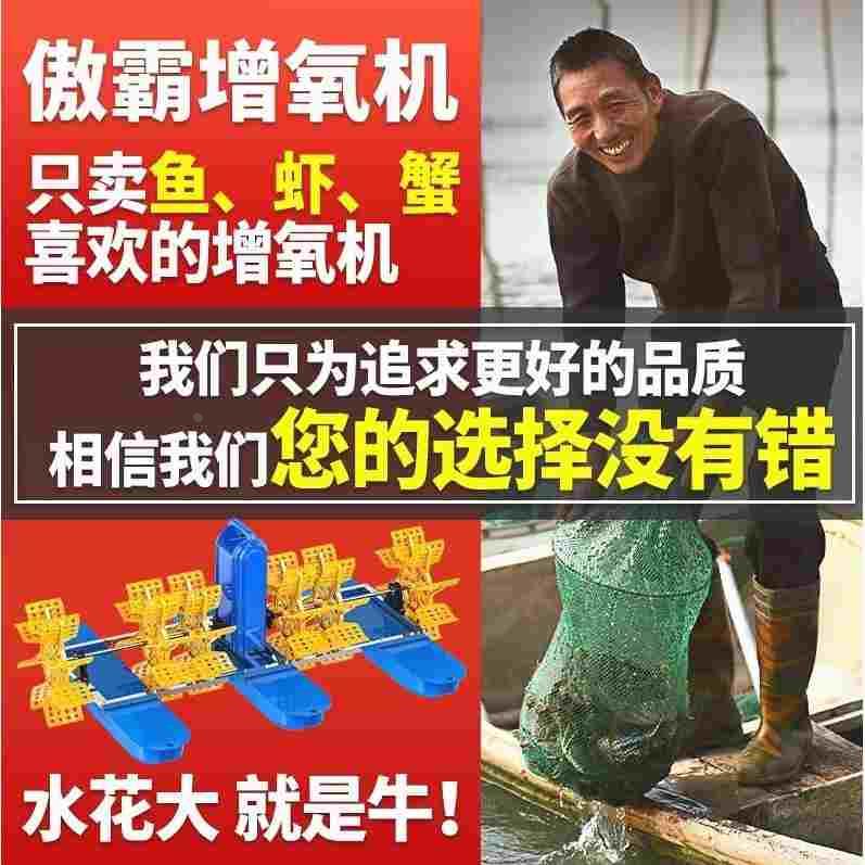 德国进口水车式鱼塘增氧机鱼池虾塘叶轮式增氧泵池塘养殖国标大功