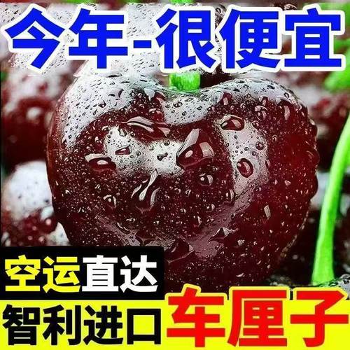 现货进口智利车厘子樱桃新鲜孕妇水果纯甜整箱批发