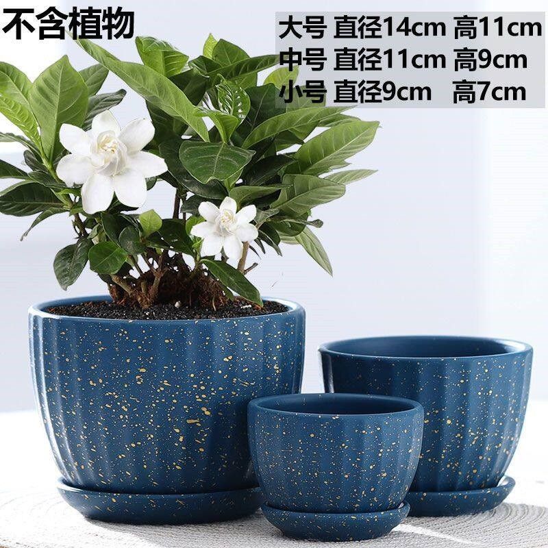 花盆陶瓷大号特大家用简约带托盘创意绿萝吊兰多肉小花盆