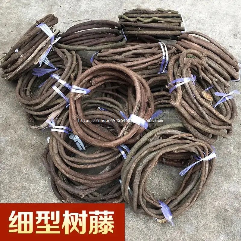 树藤枯藤管道婚庆装饰红山室内藤条葡萄藤蔓树枝干假造景植物