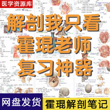 手写霍琨系统解剖学笔记电子版霍坤笔记电子视频解刨系统讲义