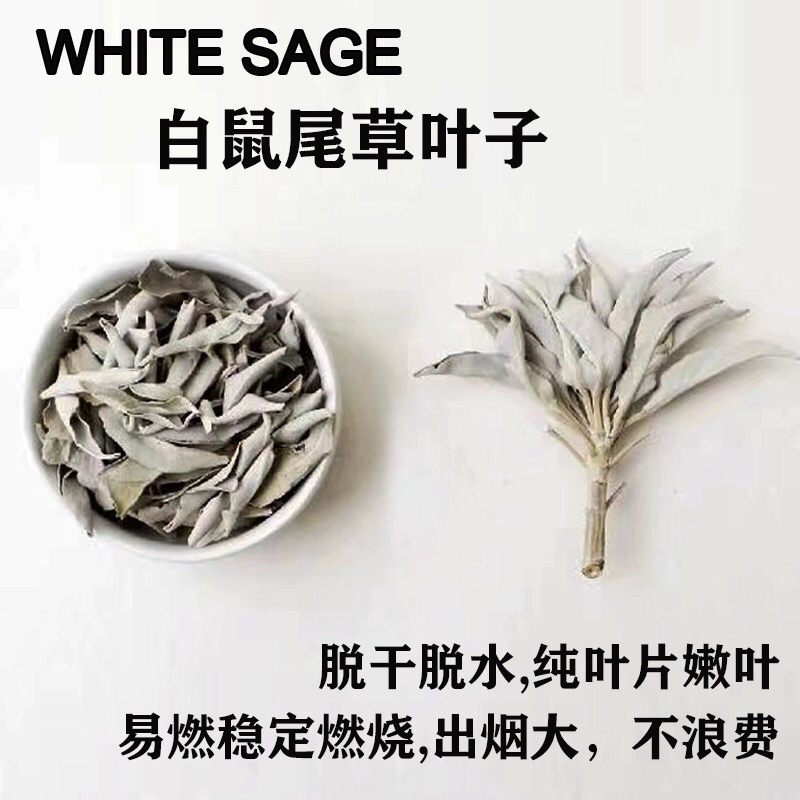 白鼠尾草叶子脱干脱水整叶white sage纯叶片嫩叶茎杆净化空间-封面