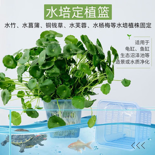 鱼缸水草种植杯透明控根盆植物固定篮龟缸造景装饰配件水培定植篮