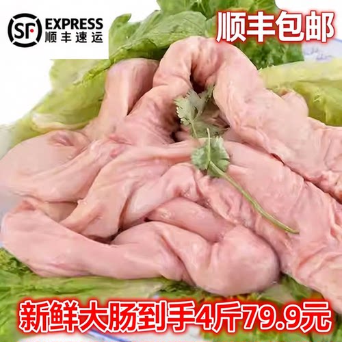 新鲜猪大肠半成品免洗冷冻
