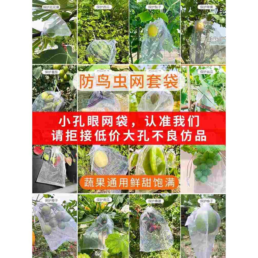 水果套袋防鸟防虫专用网袋透气透光葡萄石榴瓜果草莓杨桃保护袋子