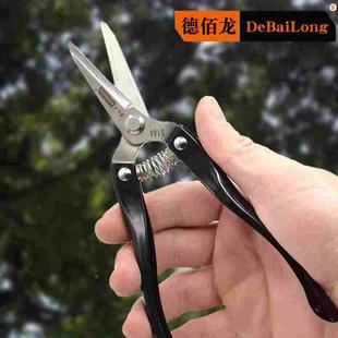 不锈钢剪刀树枝剪园艺剪刀盆栽摘水果枝剪高硬度锋利厨房剪刀