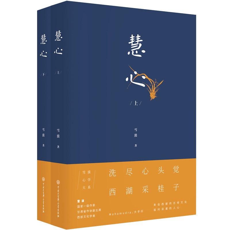 【文】雪漠心学大系（全2册）9787520200882使用感如何?