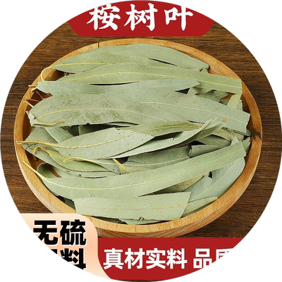 桉树叶中药材500g新鲜干货正品驱虫除臭抑菌祛味磨牙大叶蓝桉树叶