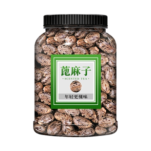 蓖麻子中药材蓖麻仁 蓖麻种子 新鲜红蓖麻籽仁大麻子 包邮500g