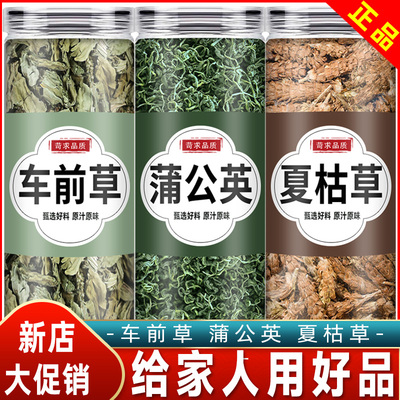蒲公英夏枯草车前草中药材正品泡茶水喝夏枯球车钱草加蒲公英草药