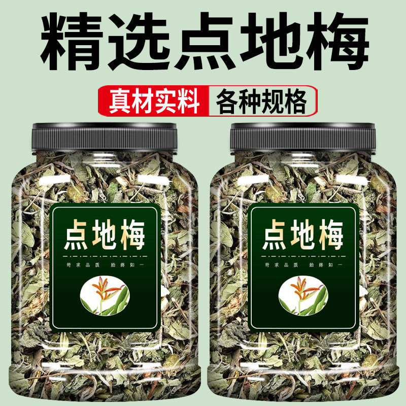 点地梅中药材喉咙草 天星草 白花珍珠草 天然中草药干货非野生