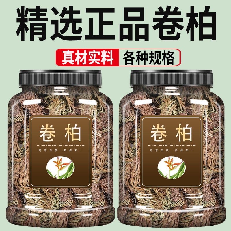 卷柏中药材500g正品九死还魂草 万年松 还阳草 江南卷柏草 长生草