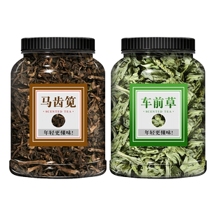 马齿笕车前草中药材正品野生车轱辘草加马齿草和马齿菜马苋草药