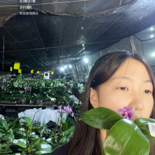 香奈儿苗子