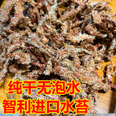 港谷家毛毛虫水苔独立包装