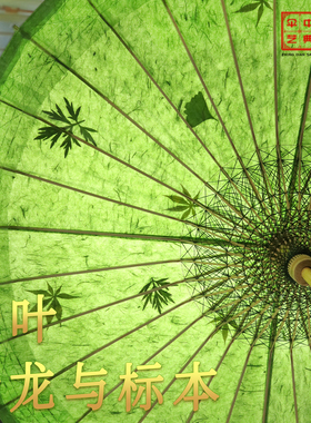 中典古法云龙绿色油纸伞 植物标本压花伞 纯手工传统古风防雨防晒