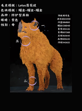 星际战甲国际服warframe防护型库狛耀金纯色莲花租金50+押金450
