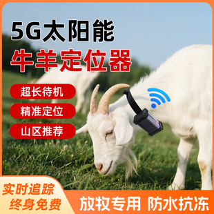 牛羊定位器追踪神器山区终身免费放牧专用北斗卫星太阳能动物防丢