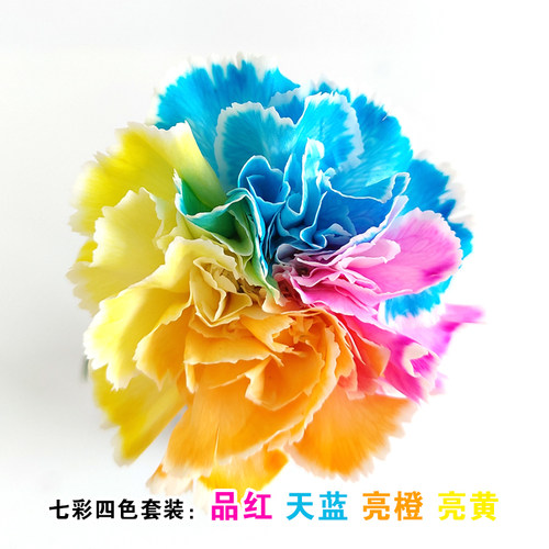 七彩玫瑰染色剂价格 七彩玫瑰染色剂图片 星期三