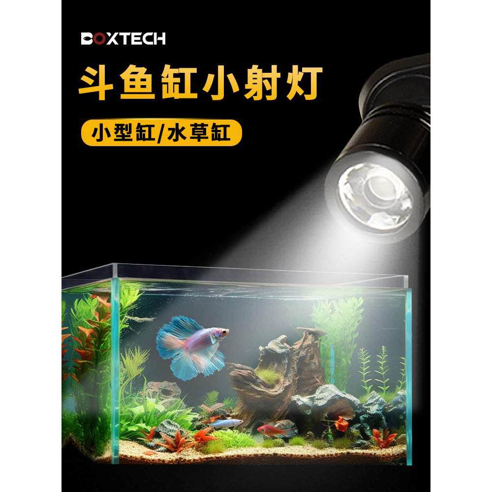 斗鱼灯鱼缸灯led灯防水小型鱼缸专用水草灯射灯usb小夜灯孔雀鱼