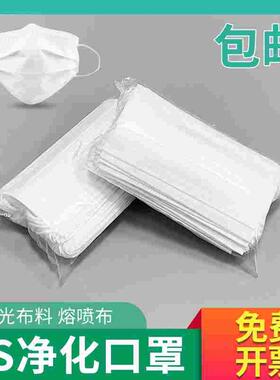 秒杀白色一次性口罩两层三层 ES净化不起毛 耳挂式电子无尘车间