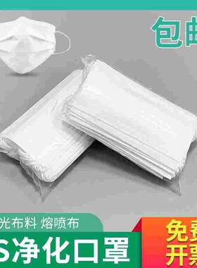 秒杀白色一次性口罩两层三层 ES净化不起毛 耳挂式电子无尘车间