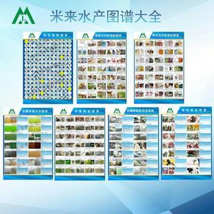 米来藻类南美白对虾寄生虫鱼病河蟹病症池塘水色增氧机泡沫图谱