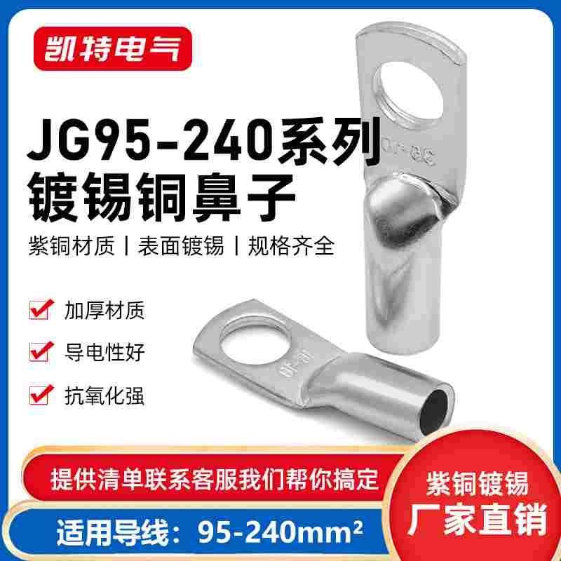国标JG铜鼻子95-240平方 船用冷压线鼻子 铜接线端子 紫铜镀锡线,乐器/吉他/钢琴/配件,其它民族乐器,淘宝优惠券,粉丝福利购,淘宝优惠卷