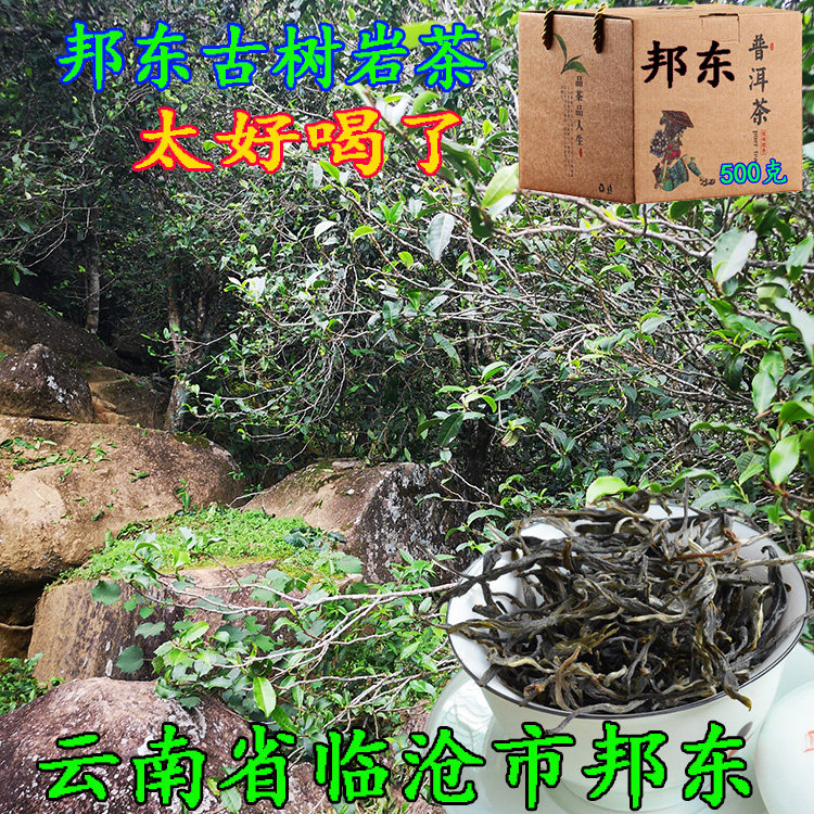 云南普洱茶临沧茶区邦东古树茶生茶老树茶大树茶叶500克散装好喝