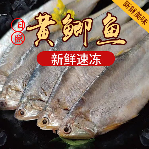 新鲜纯野黄鲫鱼毛扣鱼油扣油炸