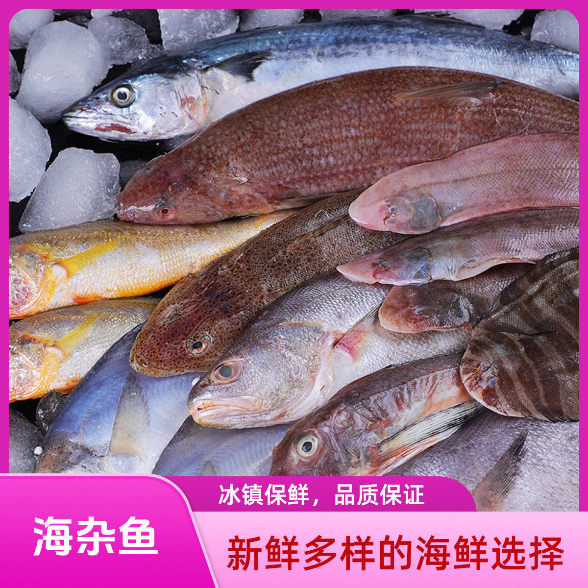 海杂鱼杂鱼新鲜速冻大杂烩深海鱼