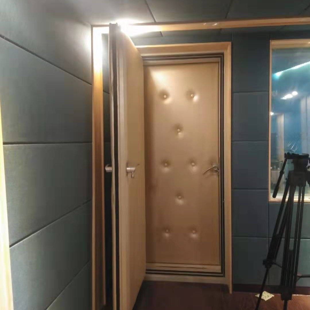 【50分贝以上隔音门】钢制声闸隔音门钢质一框双隔音门,五金/工具,家用电梯,淘宝优惠券,粉丝福利购,淘宝优惠卷