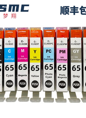 适用佳能pro200墨盒CLI-65 CANON PIXMA PRO-200打印机耗材CLI65 CLI-65BK黑色彩色八色墨水盒