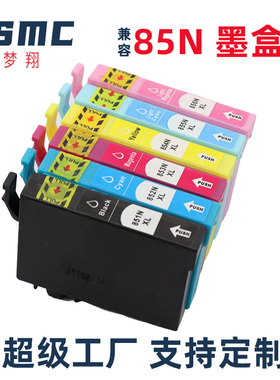 适用爱普生r330墨盒Epson Stylus Photo 1390打印机墨盒85 85N T0851N黑色 T0851 T0856 T60替代耗材