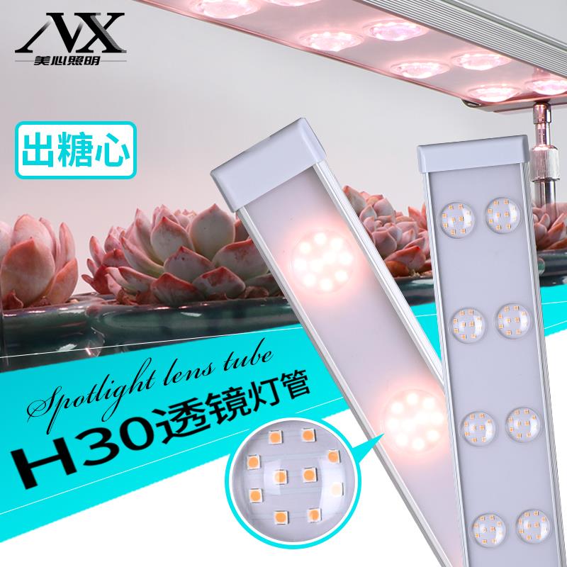 全光谱多肉专用补光灯led透镜彷太阳光照上色防徒室内植物生长灯