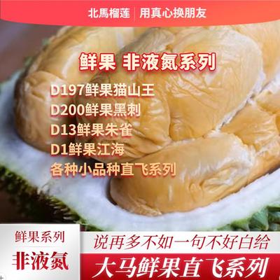 北马榴猫山王树熟鲜果顺丰空运