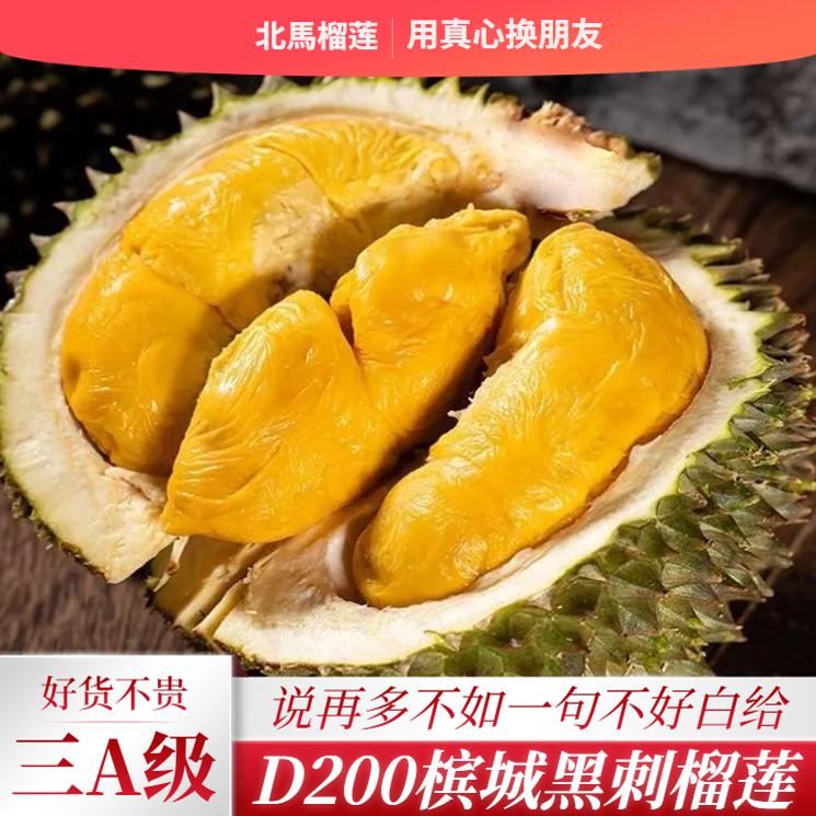 北马液氮3A黑刺出肉率高果型靓