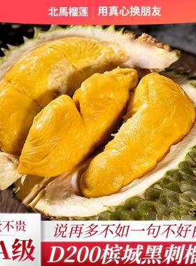 北马榴【树熟液氮】三A级黑刺榴莲d200马来西亚槟城货当季新货果