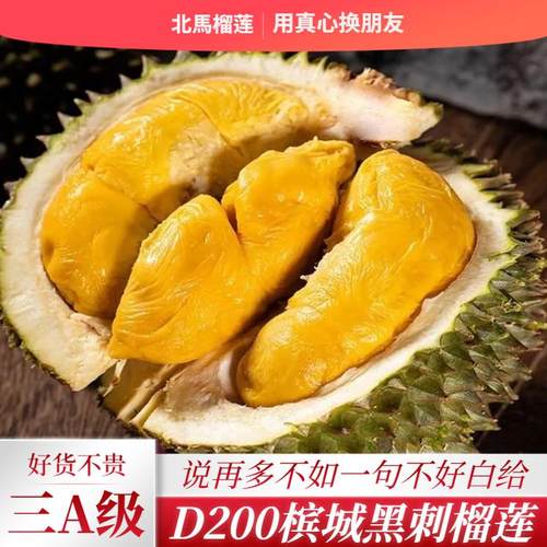 北马榴【树熟液氮】三A级黑刺榴莲d200马来西亚槟城货当季新货果