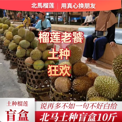 北马榴【树熟液氮】土种榴莲盲盒品种30多不分品种随机发货野榴莲