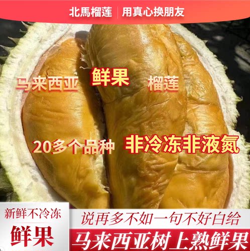 北马榴【树熟鲜果】马来西亚鲜果D200黑刺榴莲顺丰空运无需催熟