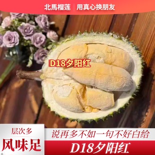 北马榴【树熟液氮】马来西亚D18夕阳红榴莲神武榴莲层次多风味足