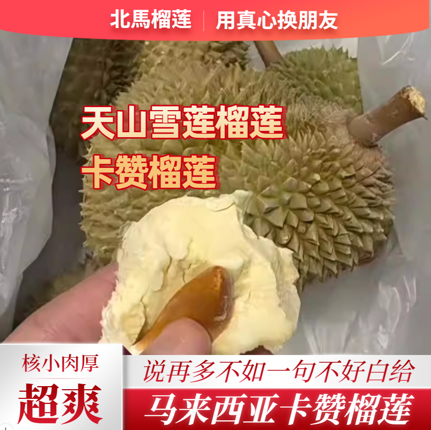 北马榴【树熟液氮】卡赞或天山雪莲榴莲奶味足核小肉厚金凤平替版