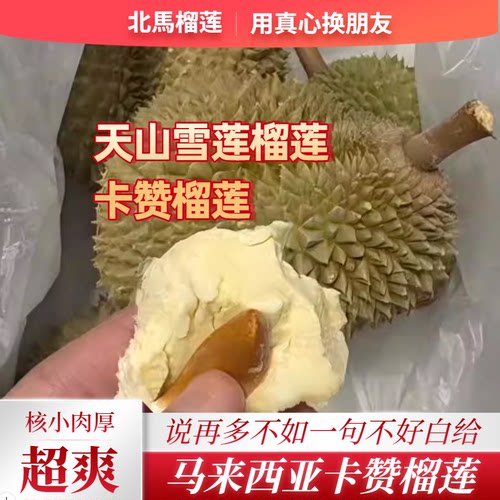 北马榴【树熟液氮】卡赞或天山雪莲榴莲奶味足核小肉厚金凤平替版