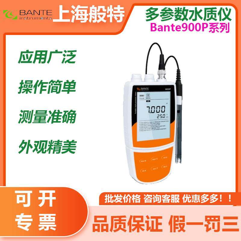 上海般特Bante900P-CN多参数水质分析仪电导率仪溶氧仪TDS盐度计