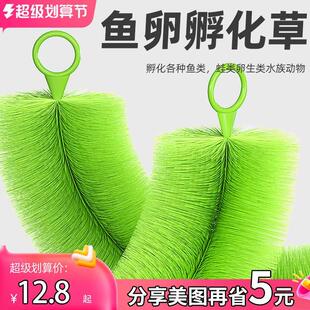 鱼卵孵化草锦鲤产卵毛刷鱼巢产卵刷草金鱼产卵草繁殖草孵化刷