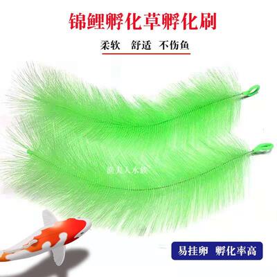 鱼池孵化毛刷锦鲤产卵巢金鱼繁殖草产卵草柔软不伤鱼 鱼卵化孵刷