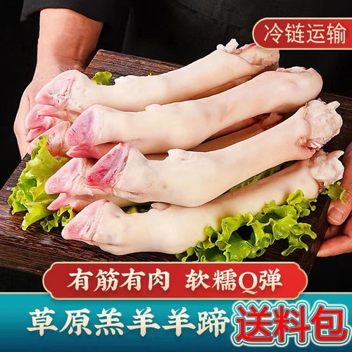 9斤装 新鲜白羊蹄子 羊脚 冰鲜发货 火锅食材京东